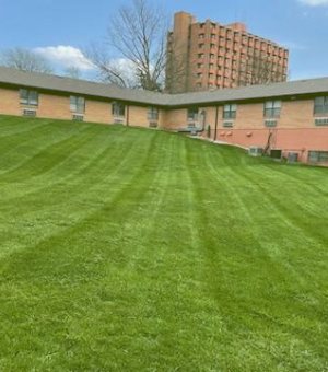 commercial property lawn care image
