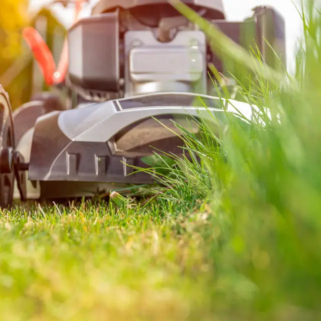 mower image in round format
