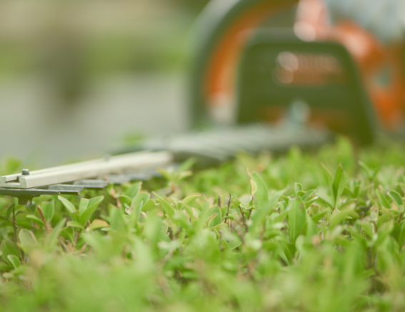 Landscape Maintenance image