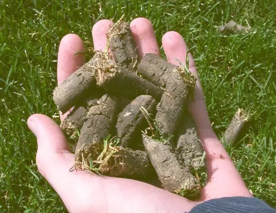 Lawn Aeration for Optimal Lawn Health image