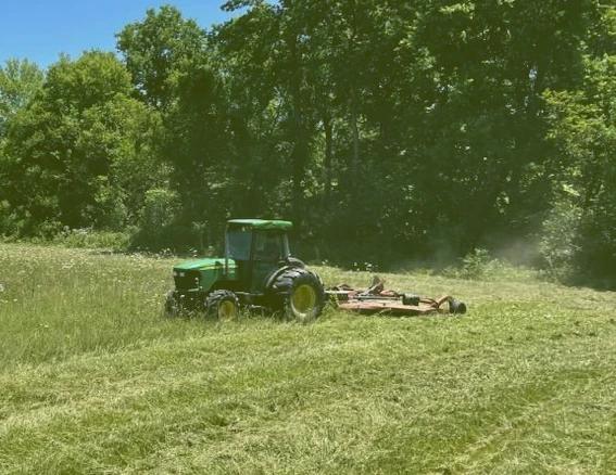 Brush Clearing and Maintenance Image