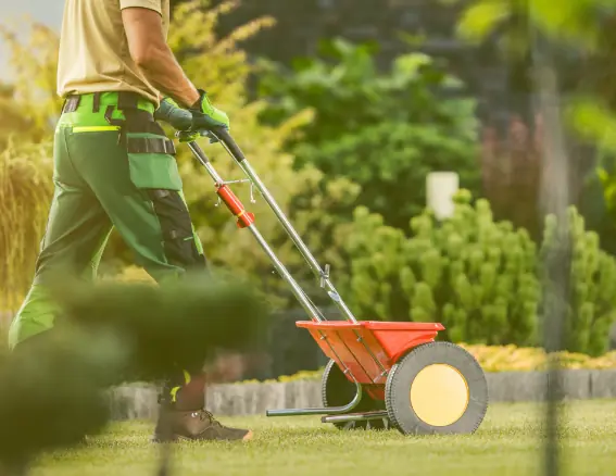 Fertilization for Seasonal Lawn Health image