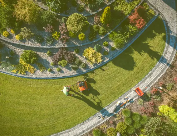 Lawn Mowing image