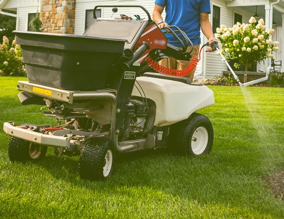 Expert Weed Removal image