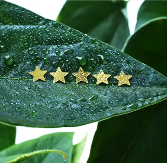 Service Review Image