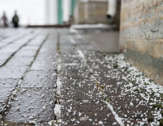 Post snow-Clearing Treatments image