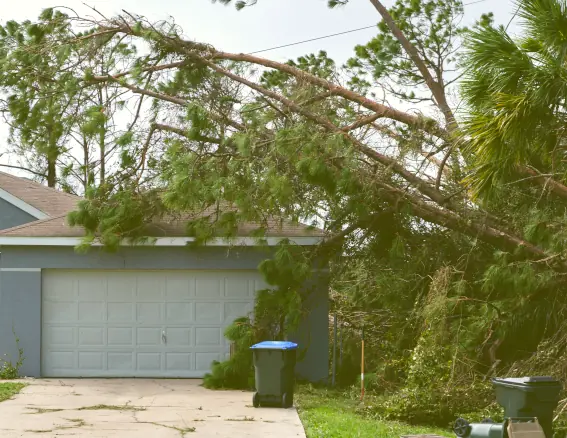 Storm Clean-Up Services in Missouri image
